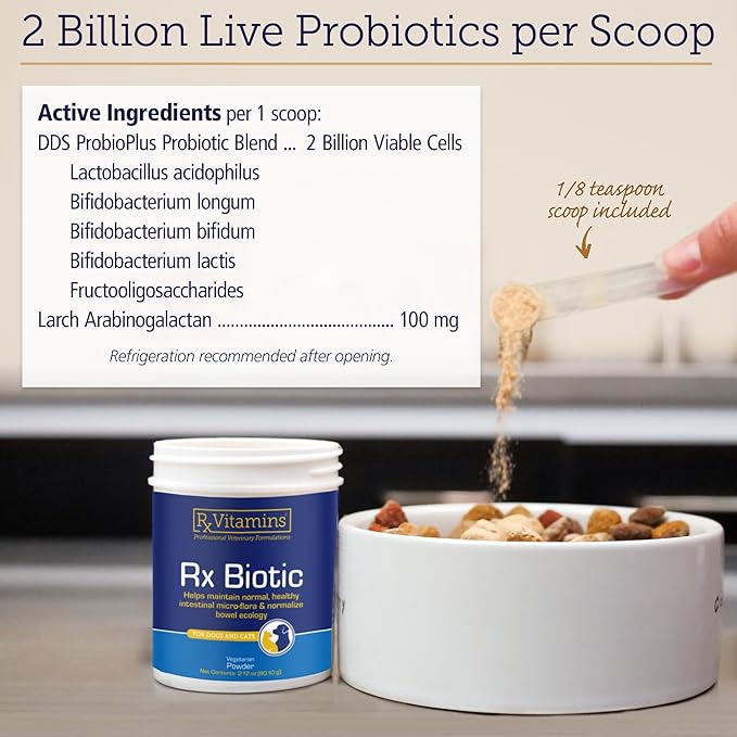 Rx Vitamins Rx Biotic - Probiotic Powder for Dogs and Cats - Cat Digestive Support & Probiotic for Dogs Gut Health - Cat Probiotics for Indoor Cats - Dog Probiotics for Digestive Health - 2.12oz-SeraviaPure