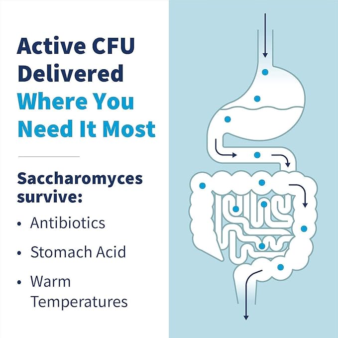 Klaire Labs SFI Health Saccharomyces Boulardii Probiotic - Acid Resistant & Shelf-Stable Supplement to Support Healthy Yeast Balance, Immune & Digestive Health - Hypoallergenic, Dairy-Free (120ct)-SeraviaPure
