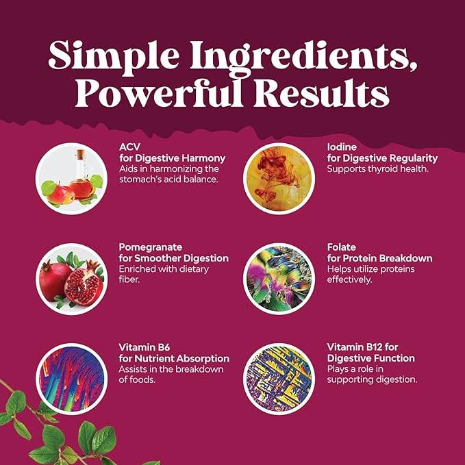 Apple Cider Vinegar Gummies with the Mother-Natural Energy Supplement ACV Gummies with Mother for Body Cleanse Immune Support and Gut Health-Delicious Gummy ACV Supplement with Beet Root Powder 2 pack-SeraviaPure