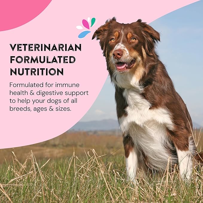 Skin & Coat Supplements for Dogs | Probiotic & Prebiotic Benefits with Wild Salmon Omega 3s to Help Your Dog Shine from The Inside Out | All Breeds, Ages and Sizes | 120 Count