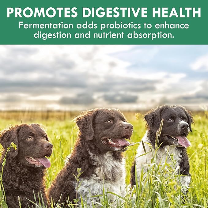 HOLISTIC BIN Canine Fermented Farm Supplement - Multivitamin Powder with Digestive Enzymes, Fermented Spinach, Pumpkin, Blueberry, Beets, & Turmeric - Dog Vitamins for Overall Health - 50g Powder