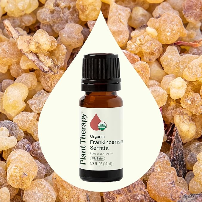 Plant Therapy Organic Frankincense Serrata Essential Oil 100% Pure, USDA Certified Organic, Undiluted, Natural Aromatherapy, Therapeutic Grade 10 mL (1/3 oz)