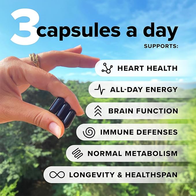 Complement Bundle- Vegan Multivitamin (90 Capsules) & Triple B12 Spray (60 Servings) - Complete Nutrition with Omega 3, Vitamins D3 K2, Zinc, Magnesium & Raspberry- Flavored B12 for Energy & Health-SeraviaPure