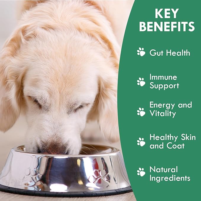 HOLISTIC BIN Canine Fermented Farm Supplement - Multivitamin Powder with Digestive Enzymes, Fermented Spinach, Pumpkin, Blueberry, Beets, & Turmeric - Dog Vitamins for Overall Health - 50g Powder