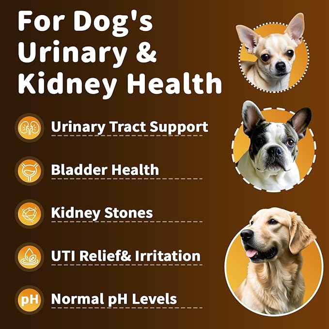 (2 Pack) POPPAW Dog UTI Treatment & Urinary Tract Support – Natural Herbal Drops with High Cranberry Extract, Vitamin B6 for Urine pH Balance, Bladder & Kidney Function, Chicken Flavor, 2 OZ