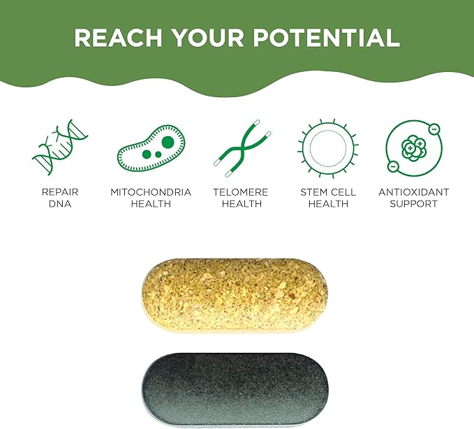Healthycell AM PM, Natural AntiAging Multivitamin for Men, Women, Supports Cell Health, Stem Cells, Energy, Sleep, with Vegetarian Whole Food Vitamins, Antioxidants, Probiotics (30 Servings)-SeraviaPure