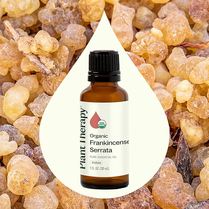 Plant Therapy Organic Frankincense Serrata Essential Oil 100% Pure, USDA Certified Organic, Undiluted, Natural Aromatherapy, Therapeutic Grade 30 mL (1 oz)