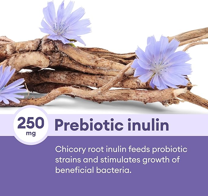 Physician's CHOICE Prebiotic-Probiotic - Multi-Strain Probiotics & Synergistic Prebiotics -Designed for Digestive Health, Supporting Gut Microbiome - Powerful PrePro for Gut Health - for Women & Men-SeraviaPure