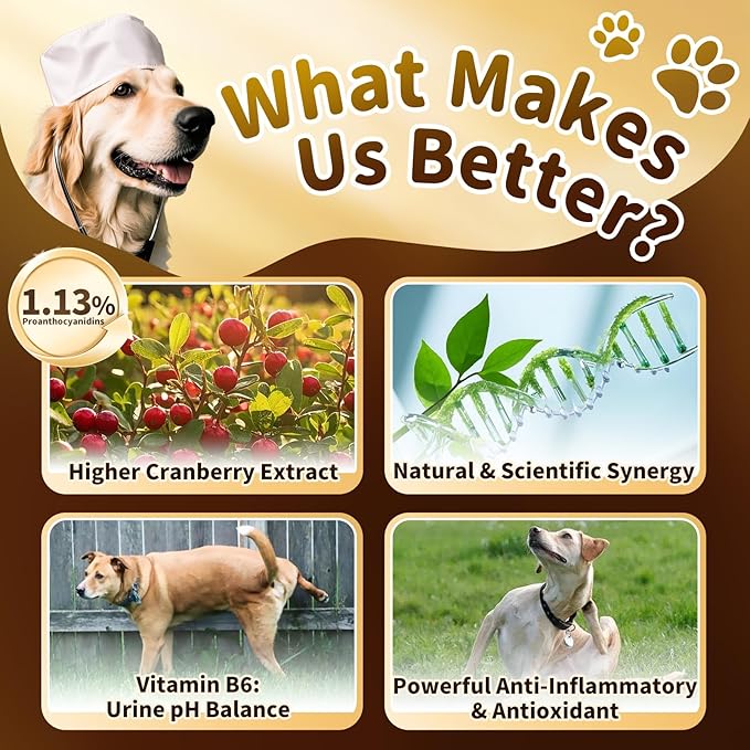 (2 Pack) POPPAW Dog UTI Treatment & Urinary Tract Support – Natural Herbal Drops with High Cranberry Extract, Vitamin B6 for Urine pH Balance, Bladder & Kidney Function, Chicken Flavor, 2 OZ