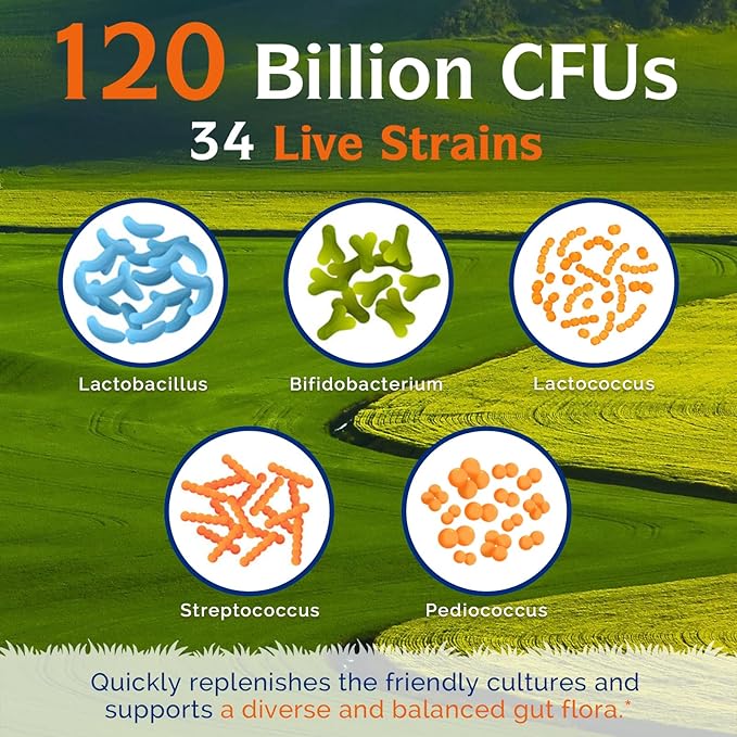 Innate Vitality Probiotics 120 Billion CFUs for Men & Women, 34 Strains with Prebiotics & Digestive Enzymes, Immune & Digestive Health, Delayed Release, Shelf Stable, 30 Vegan Capsules-SeraviaPure