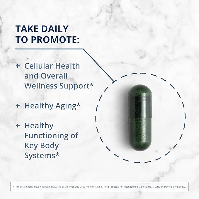 Metagenics PhytoMulti Multivitamin - Daily Multivitamins with Phytonutrients - Multivitamin for Men & Women - PhytoMulti Multivitamin Supplement - with Zinc & B6 Vitamins - 60 Capsules-SeraviaPure