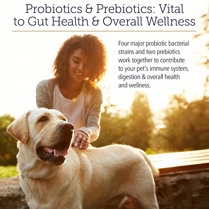 Rx Vitamins Rx Biotic - Probiotic Powder for Dogs and Cats - Cat Digestive Support & Probiotic for Dogs Gut Health - Cat Probiotics for Indoor Cats - Dog Probiotics for Digestive Health - 2.12oz-SeraviaPure