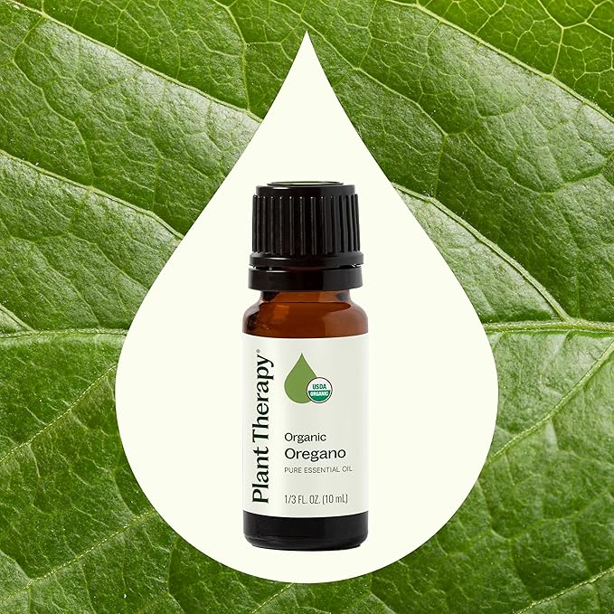 Plant Therapy Organic Oregano Essential Oil 100% Pure, USDA Certified Organic, Undiluted, Natural Aromatherapy, Therapeutic Grade 10 mL (1/3 oz)